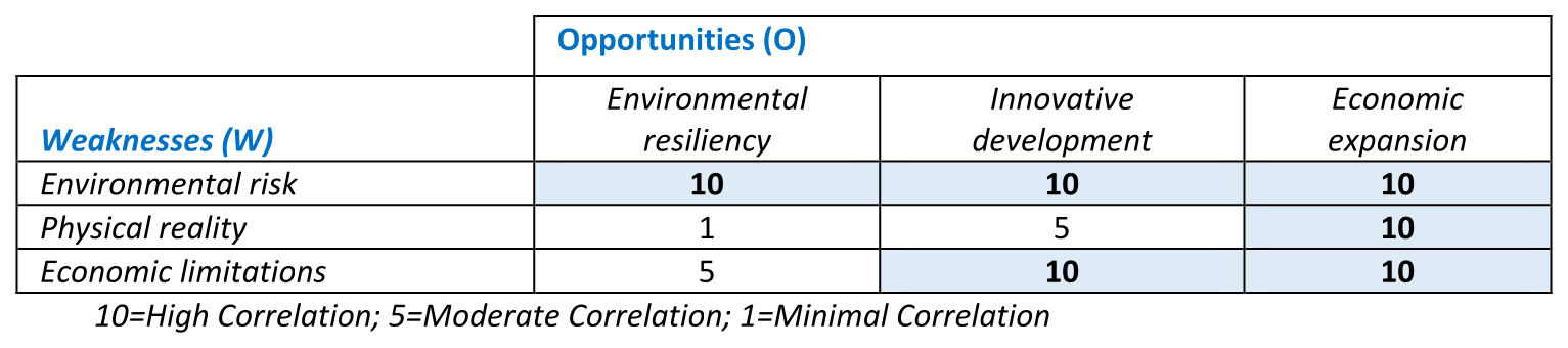 SWOT W-O Matrix